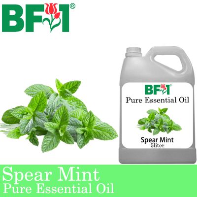Pure Essential Oil (EO) - Mint - Spear Mint Essential Oil - 5L