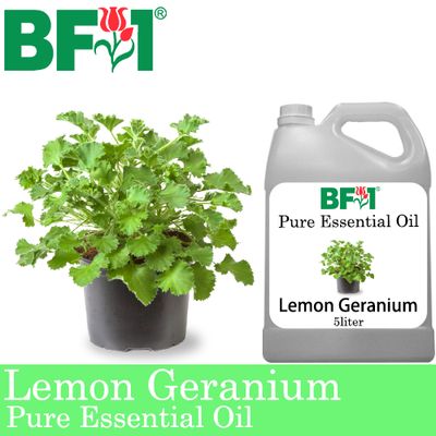 Pure Essential Oil (EO) - Geranium - Lemon Geranium Essential Oil - 5L