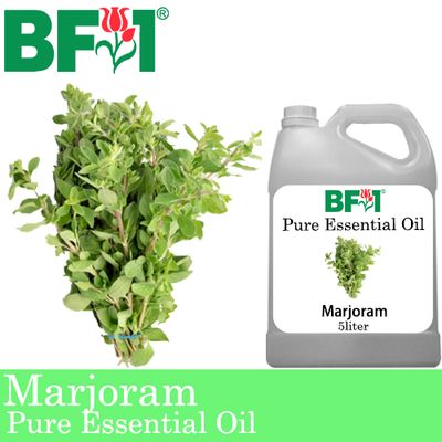 Pure Essential Oil (EO) - Marjoram Essential Oil - 5L