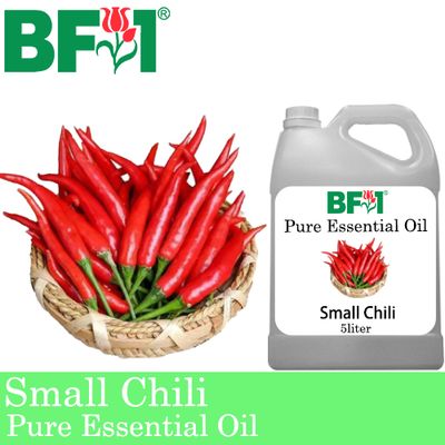 Pure Essential Oil (EO) - Chili - Small Chili Essential Oil - 5L