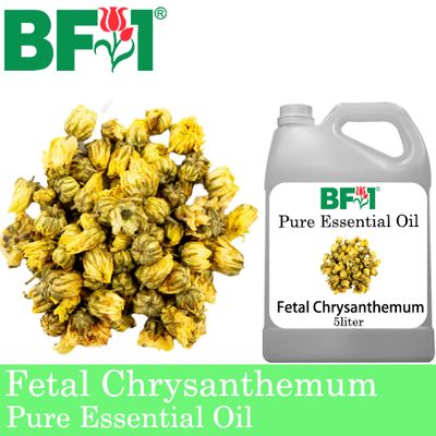 Pure Essential Oil (EO) - Fetal Chrysanthemum Essential Oil - 5L