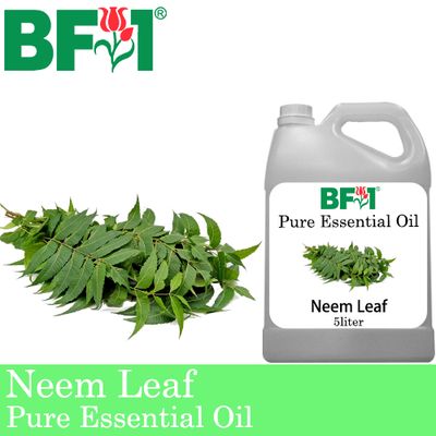 Pure Essential Oil (EO) - Neem Leaf Essential Oil - 5L