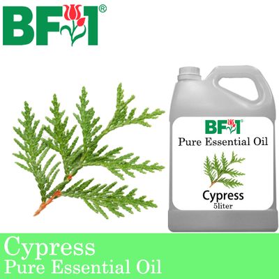 Pure Essential Oil (EO) - Cypress Essential Oil - 5L