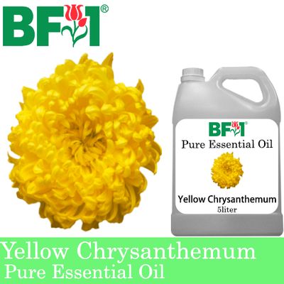 Pure Essential Oil (EO) - Chrysanthemum - Yellow Chrysanthemum Essential Oil - 5L