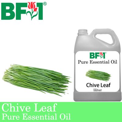 Pure Essential Oil (EO) - Chive Leaf ( Allium schoenoprasum L ) Essential Oil - 5L