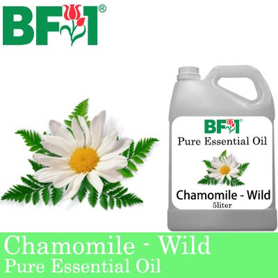 Pure Essential Oil (EO) - Chamomile - Wild Chamomile  Essential Oil - 5L