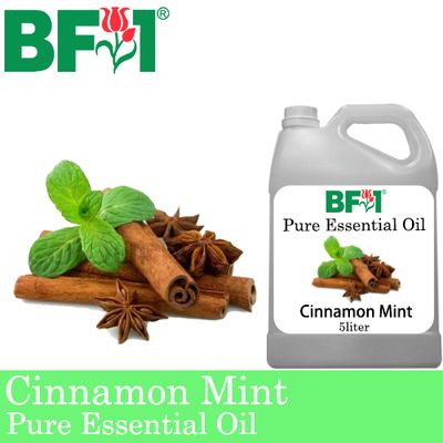Pure Essential Oil (EO) - Mint - Cinnamon Mint Essential Oil - 5L