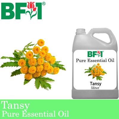 Pure Essential Oil (EO) - Tansy Essential Oil - 5L