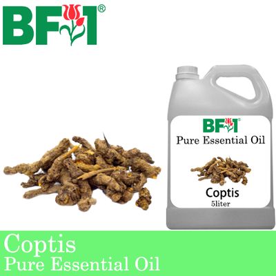 Pure Essential Oil (EO) - Coptis (Coptis Japonica) Essential Oil - 5L