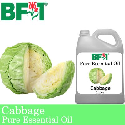 Pure Essential Oil (EO) - Cabbage Essential Oil - 5L