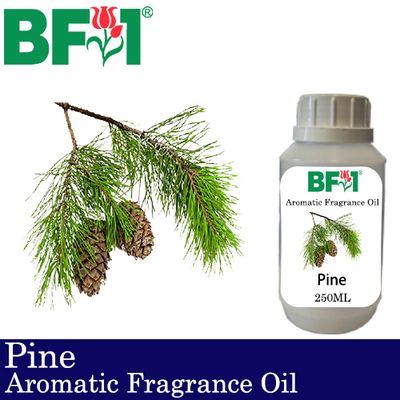 Aromatic Fragrance Oil (AFO) - Pine - 250ml