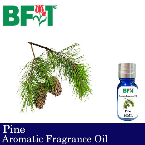 Aromatic Fragrance Oil (AFO) - Pine - 10ml Aromatic Fragrance Oil (AFO) - Pine - 10ml