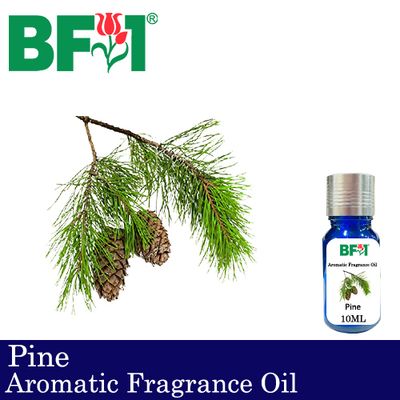 Aromatic Fragrance Oil (AFO) - Pine - 10ml