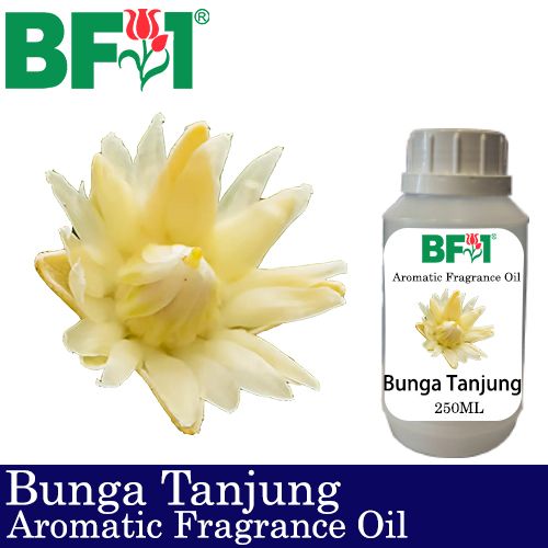 Aromatic Fragrance Oil (AFO) - Bunga Tanjung - 250ml