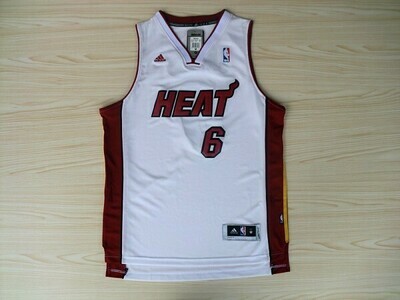Canotta Lebron Miami #6