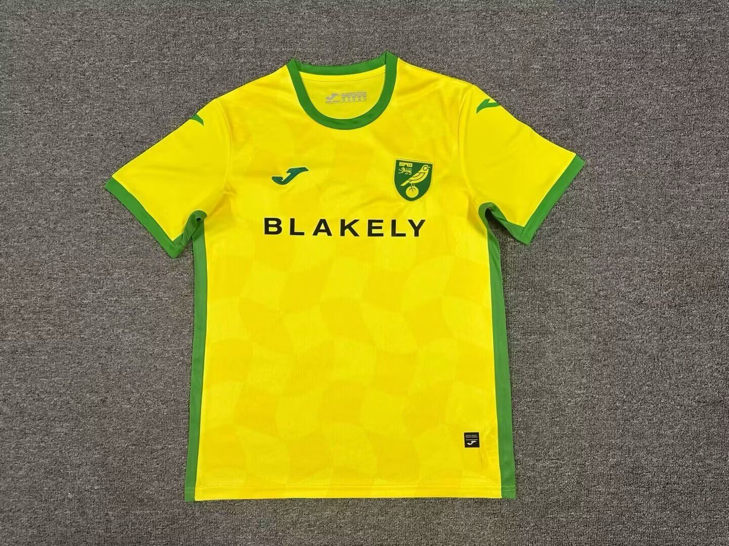 Maglia Norwich Home 2024/2025