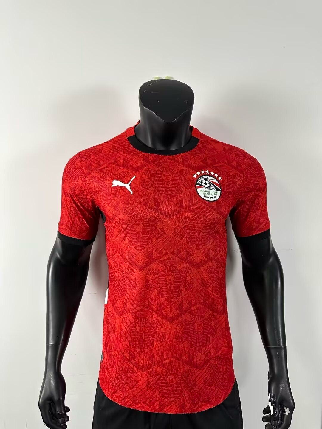 Maglia Egitto Home 2025/2026