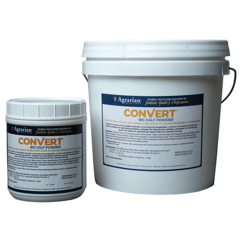 CONVERT™ BIG Calf Powder