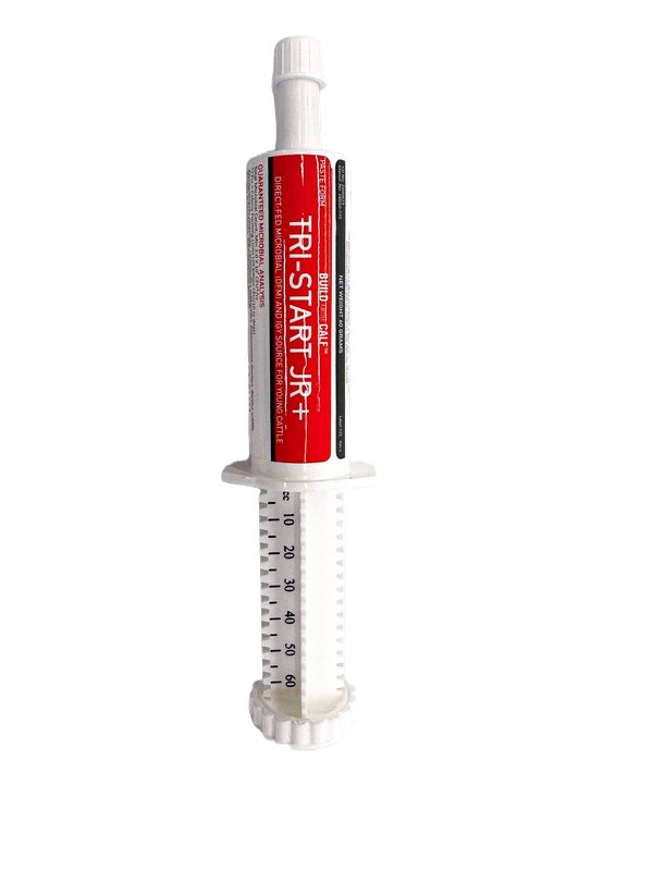Tri-Start Jr.+ Paste Form 60 cc tube