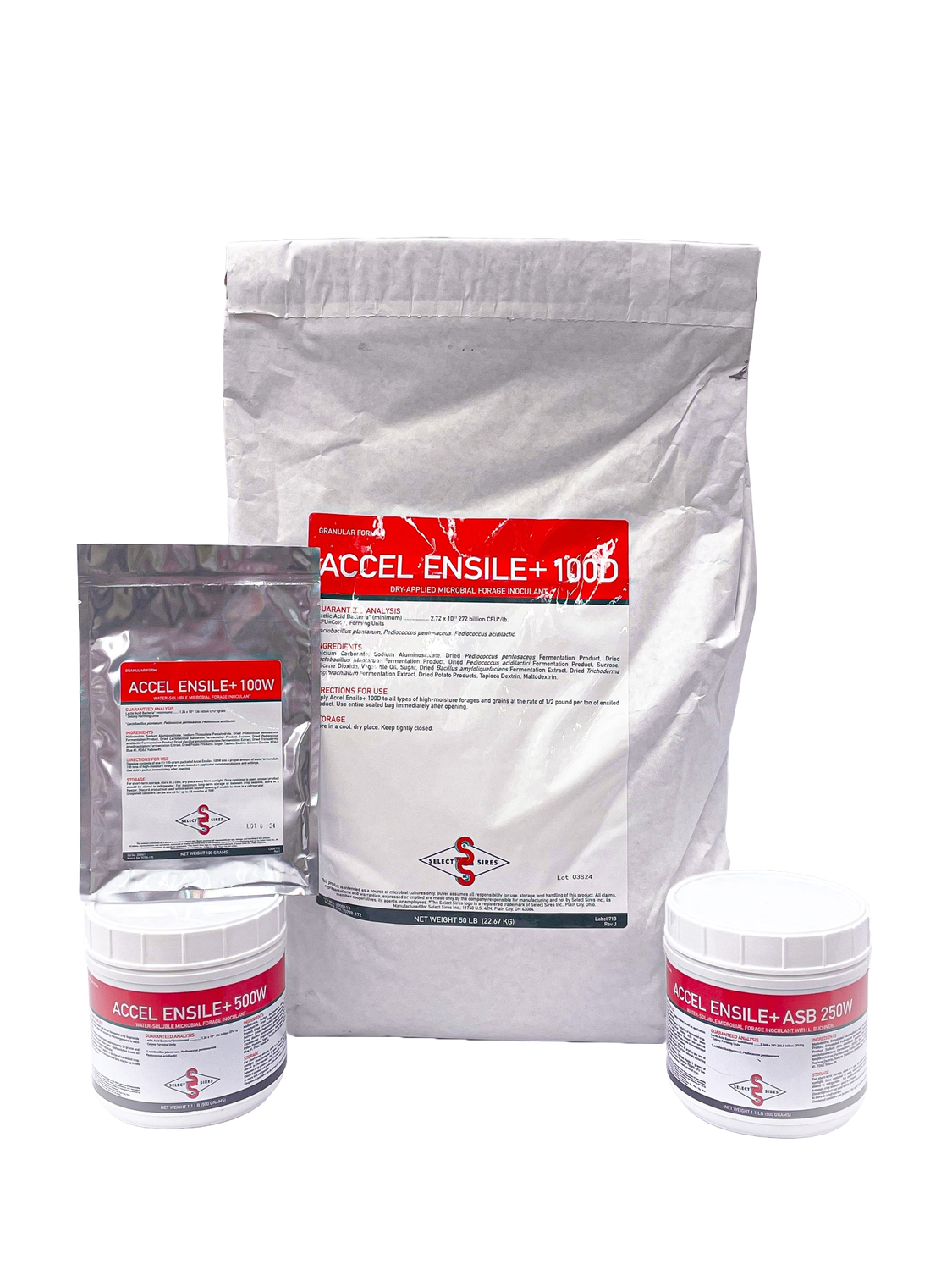 Accel Ensile+ Accel Ensile+