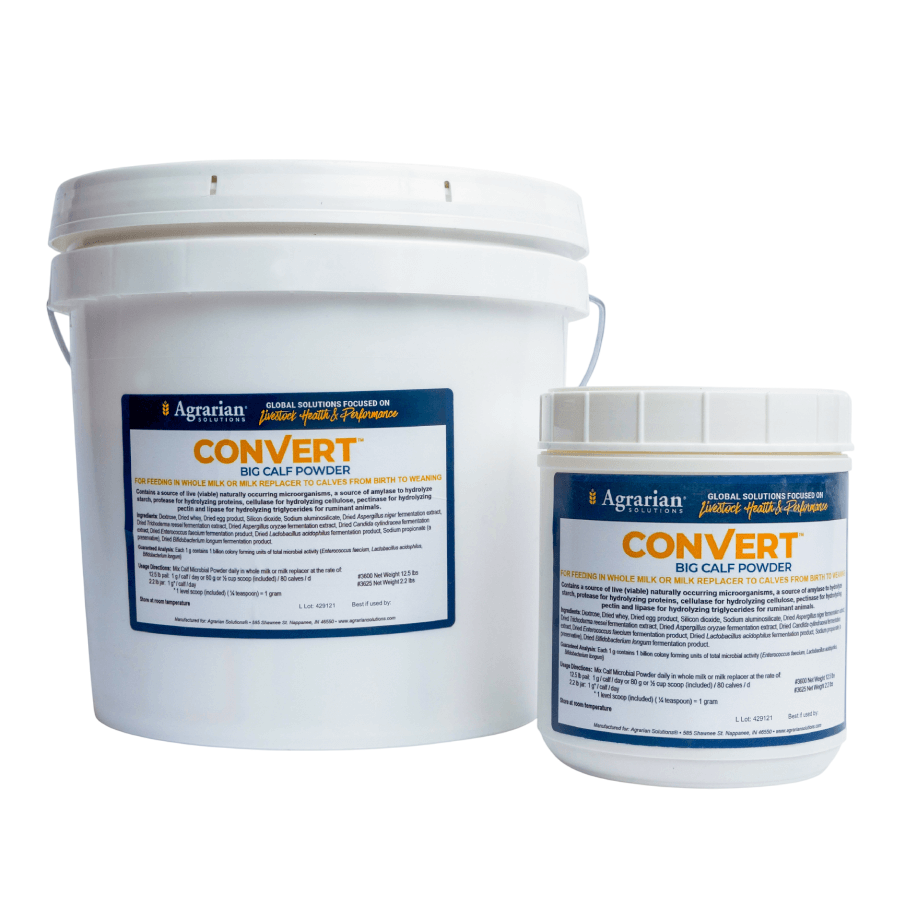 CONVERT™ BIG Calf Powder