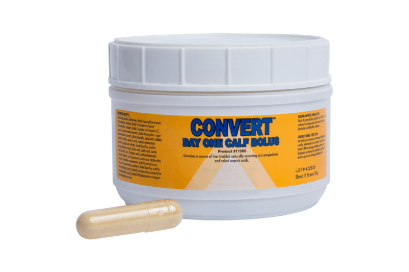 CONVERT™ Bolus