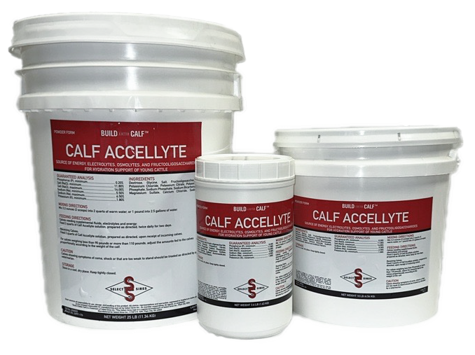Accellyte Calf Electrolyte