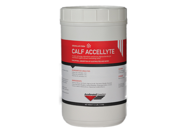 Accellyte Calf Electrolyte
