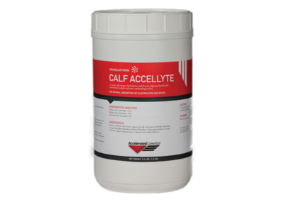 Accellyte Calf Electrolyte