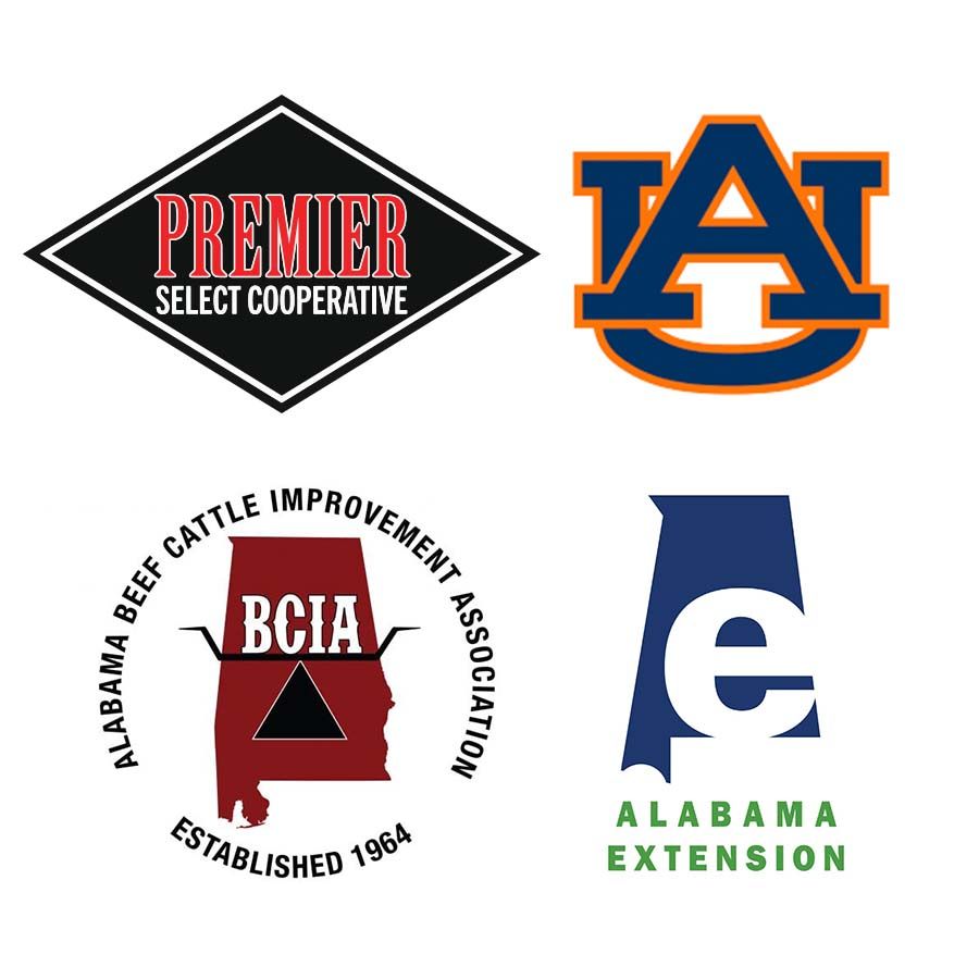 AI Training Course in Shorter, AL, October 6-7, 2026: CLICK FOR MORE INFO