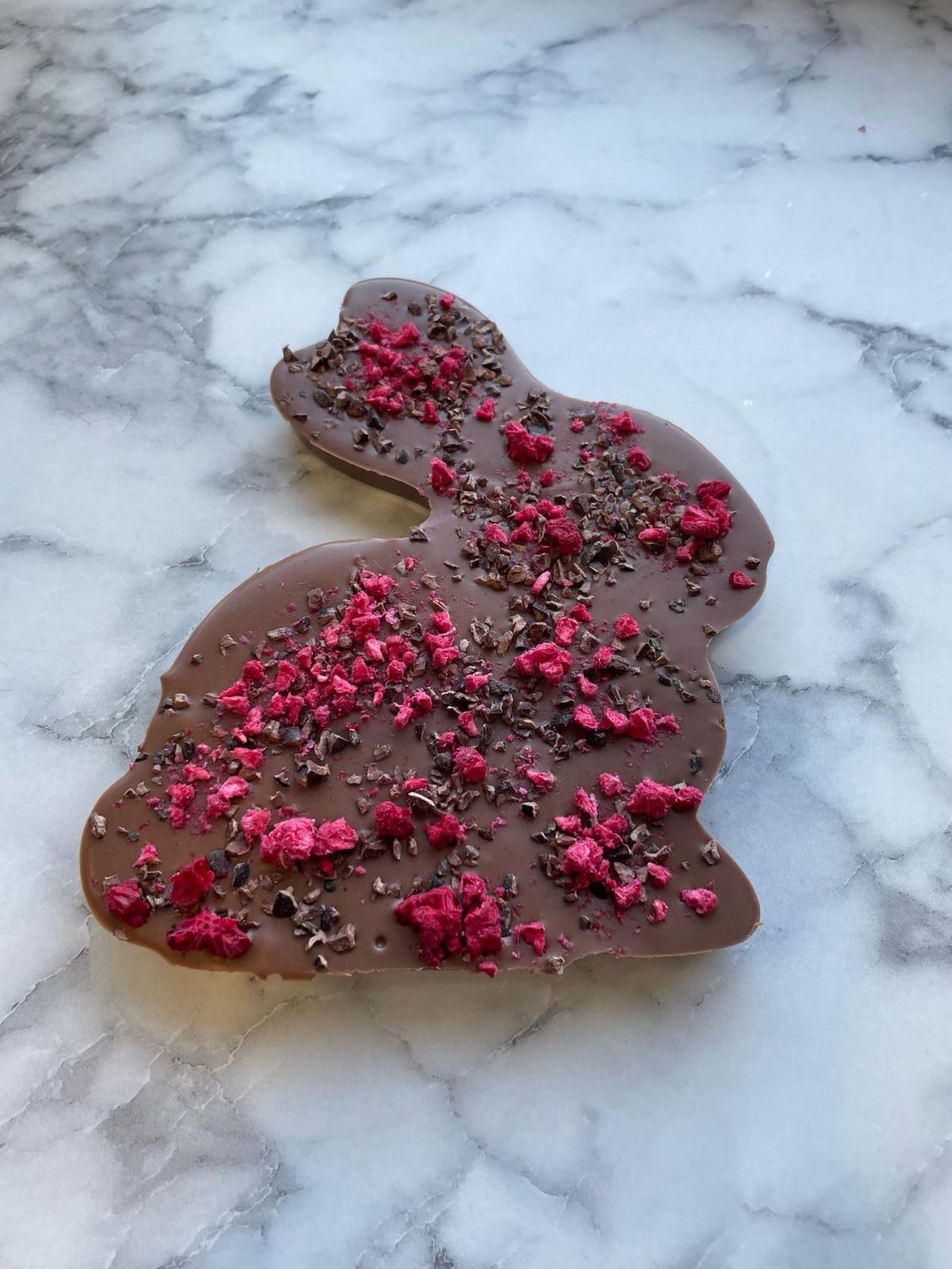 Milk Chocolate Bunny with Cacao Nibs and Raspberry