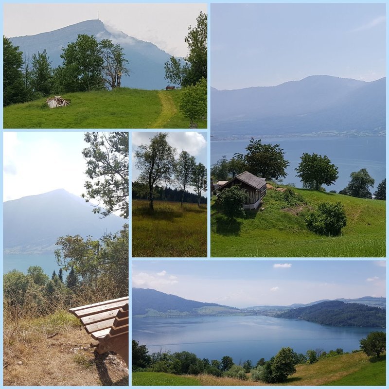 Wander Mahl Gutschein