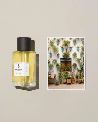 PATIO EDP 100 ML