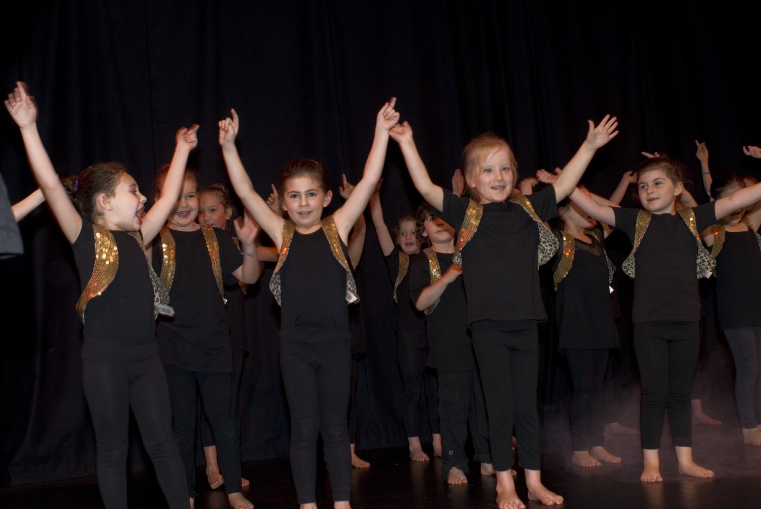 ADC Stars Winter Show Screening - household ticket ADC Stars Winter Show Screening - household ticket