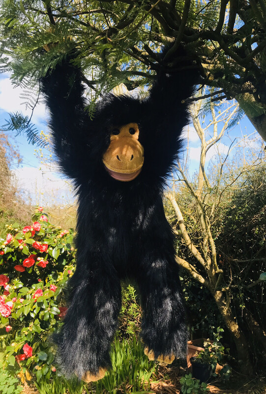 The Puppet Company Chimpanzee Medium
