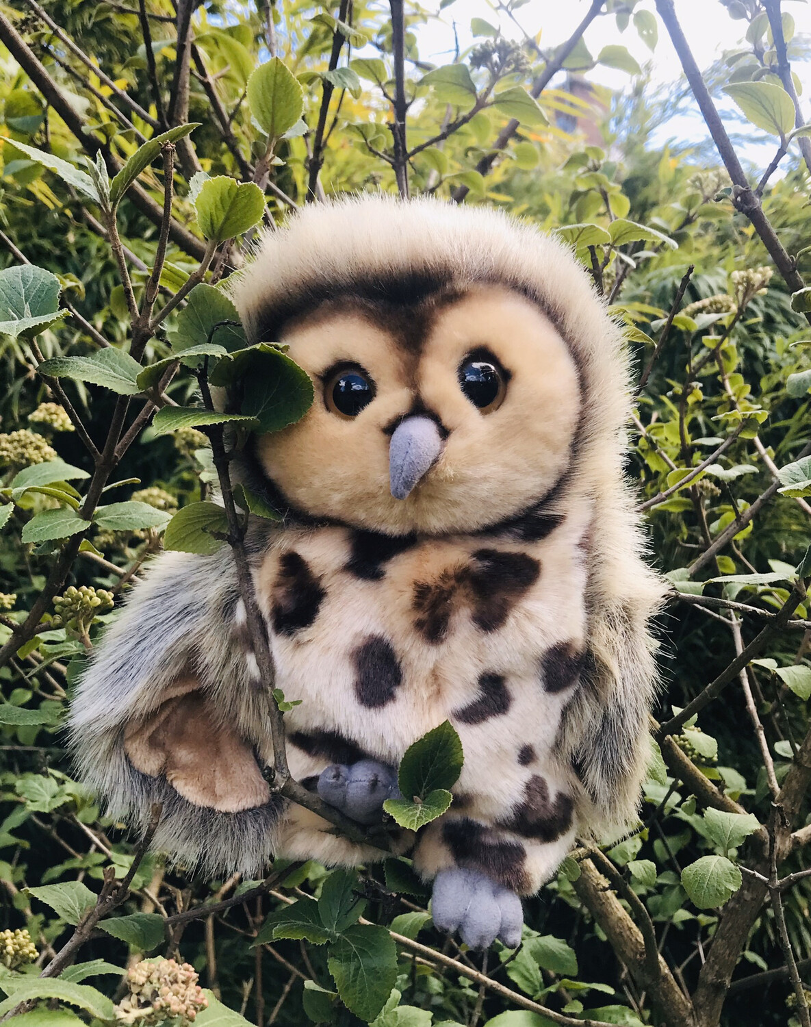 The Puppet Company Owl Puppet