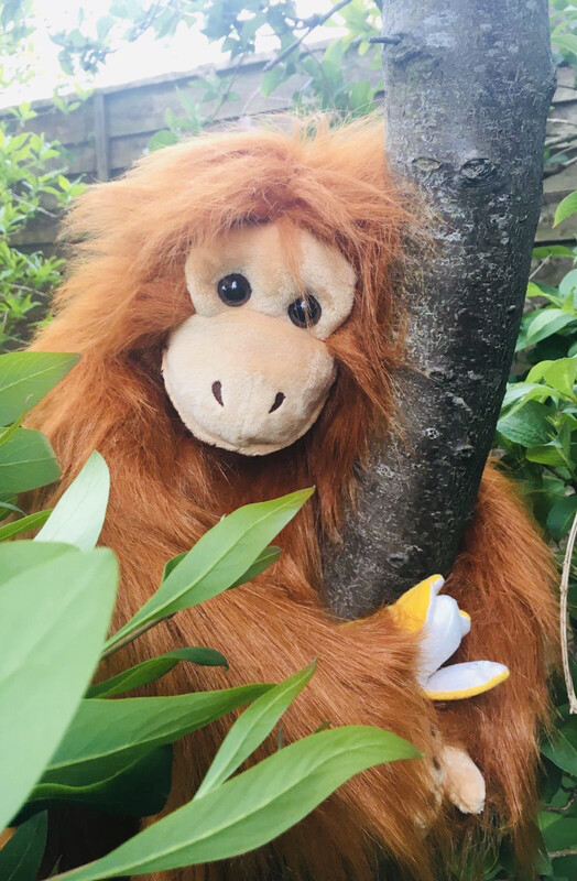 The Puppet Company Orangutan Puppet Medium 