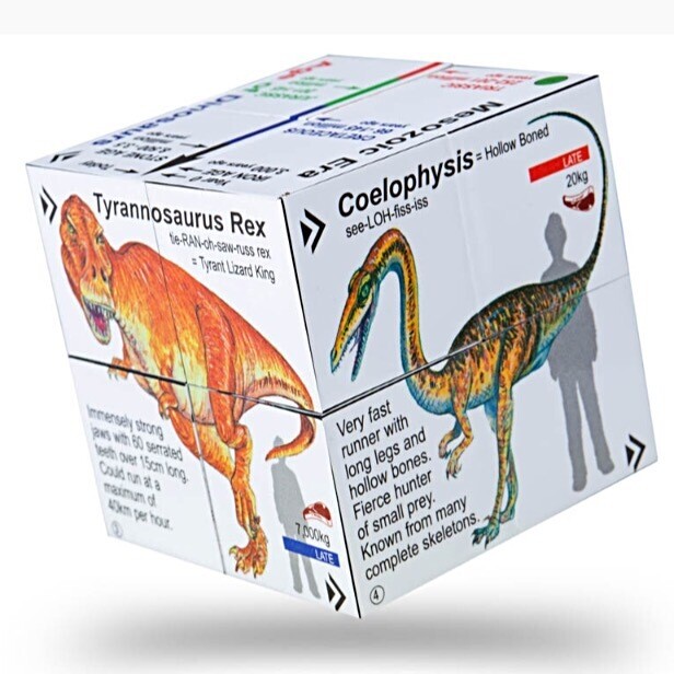 Dinosaur Cube Book
