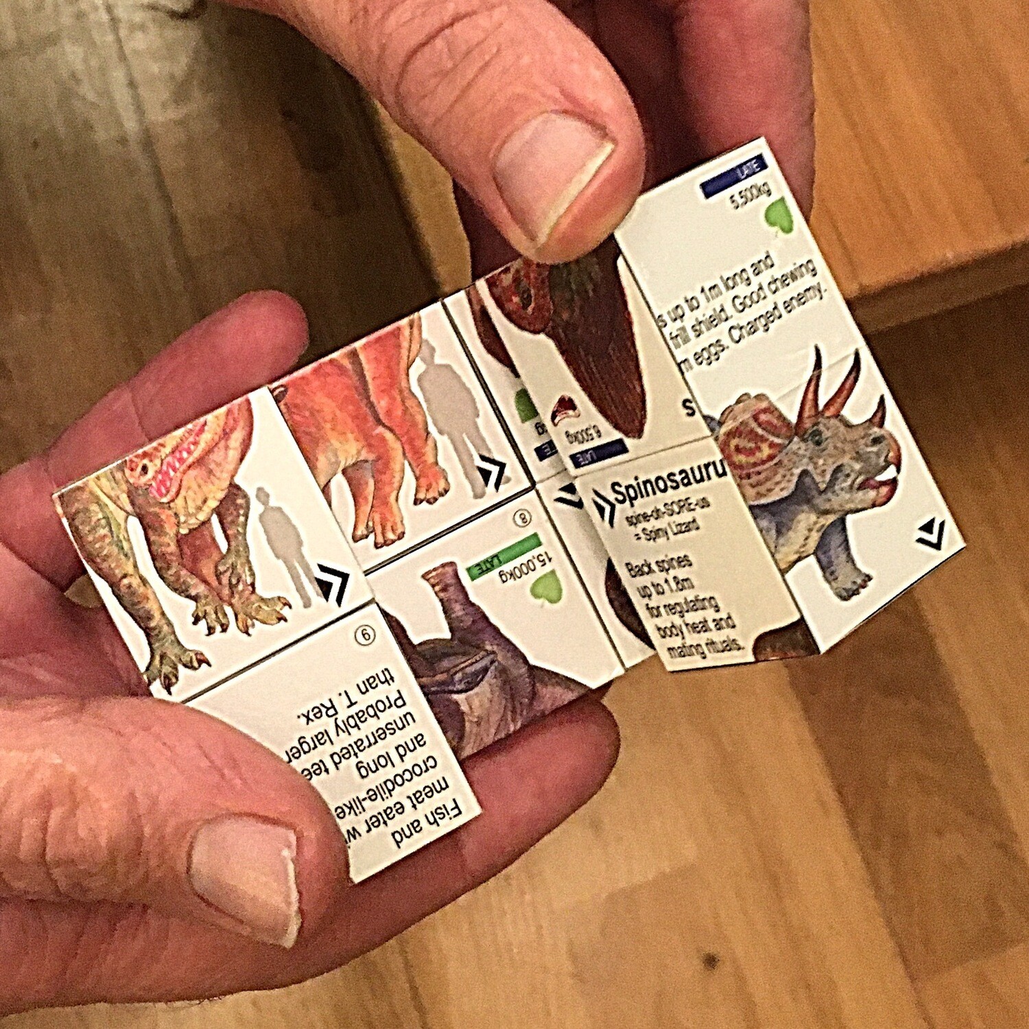 ZooBooKoo Dinosaurier-Lernwürfel – Fakten über T-Rex & Freunde, Faltbarer Cube Für Kinder Ab 6