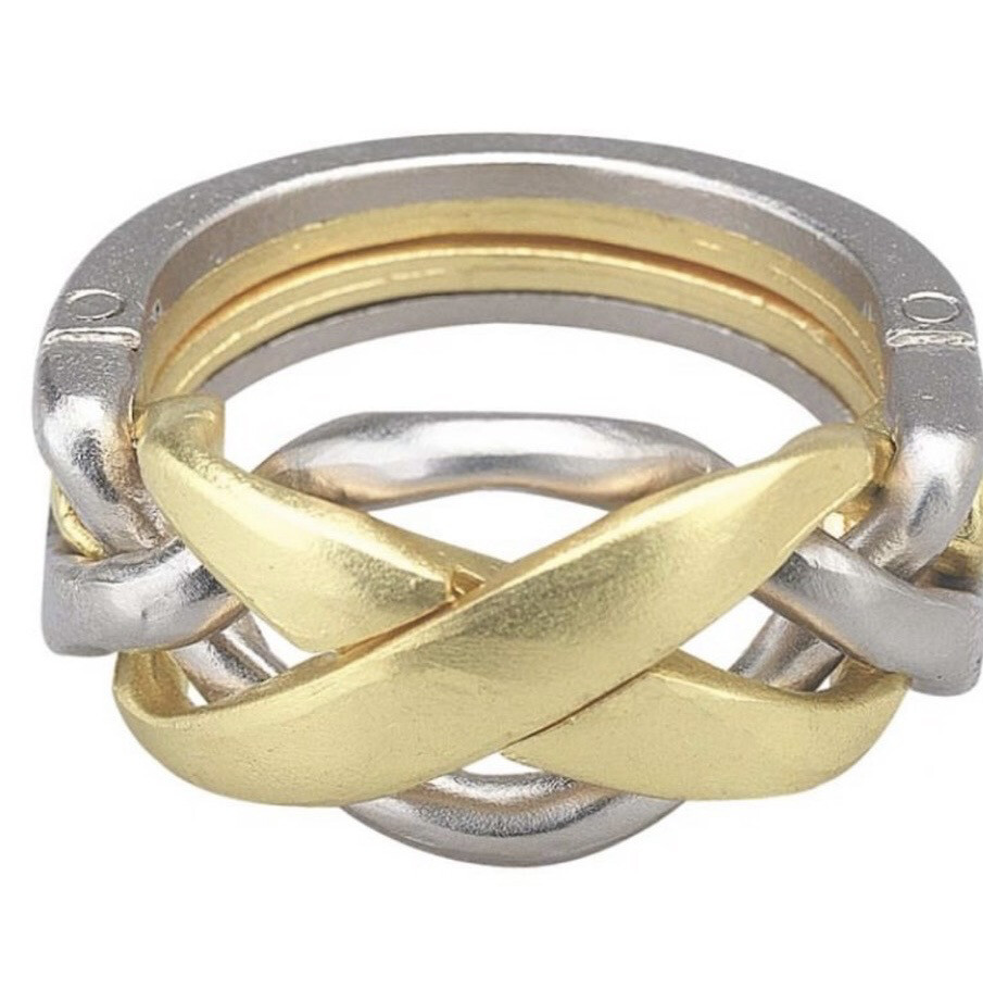 Hanayama Cast Ring Level 4 Puzzle