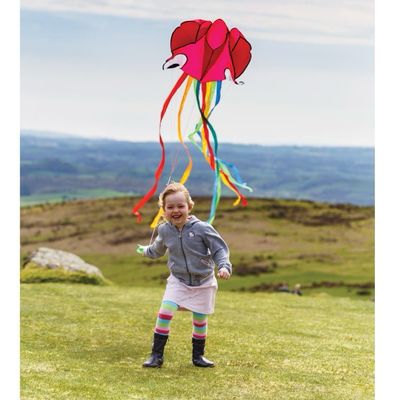 Octopus Pocket Kite