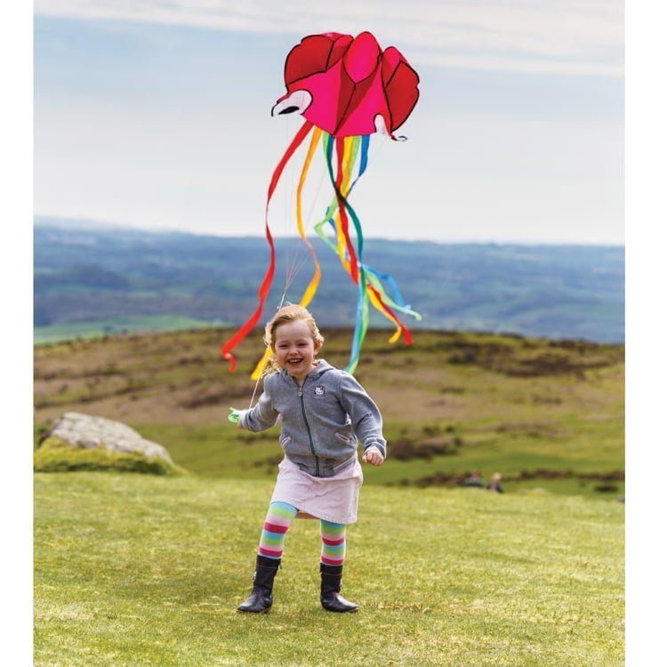 Octopus Pocket Kite