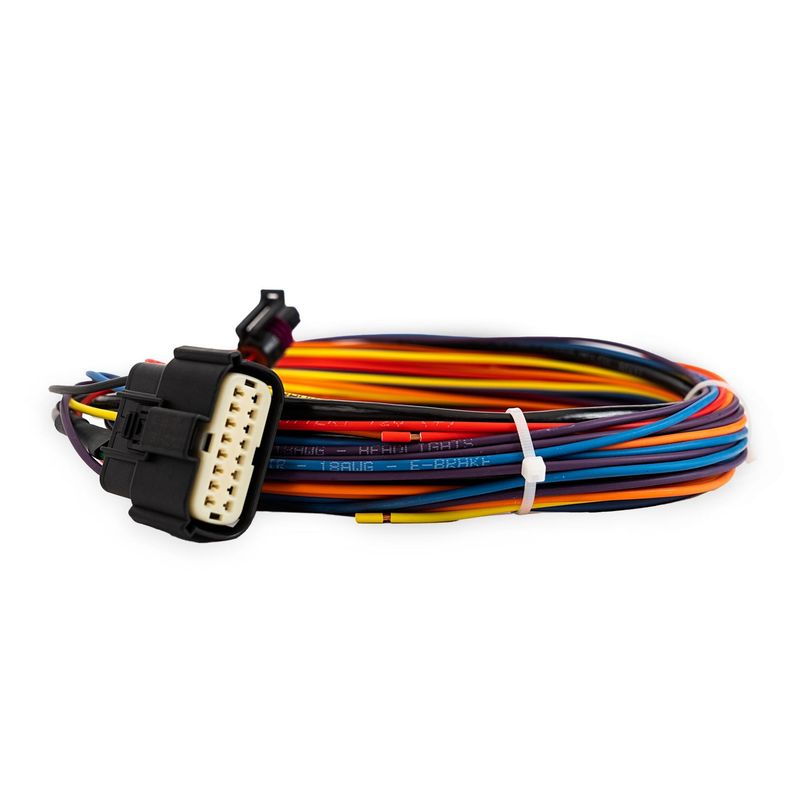 Accuair e-Level Main Harness