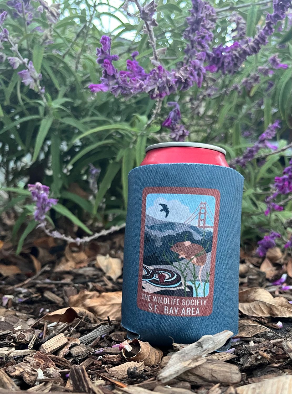 SF Bay Coozie