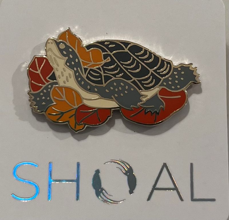 Western Pond Turtle Pin