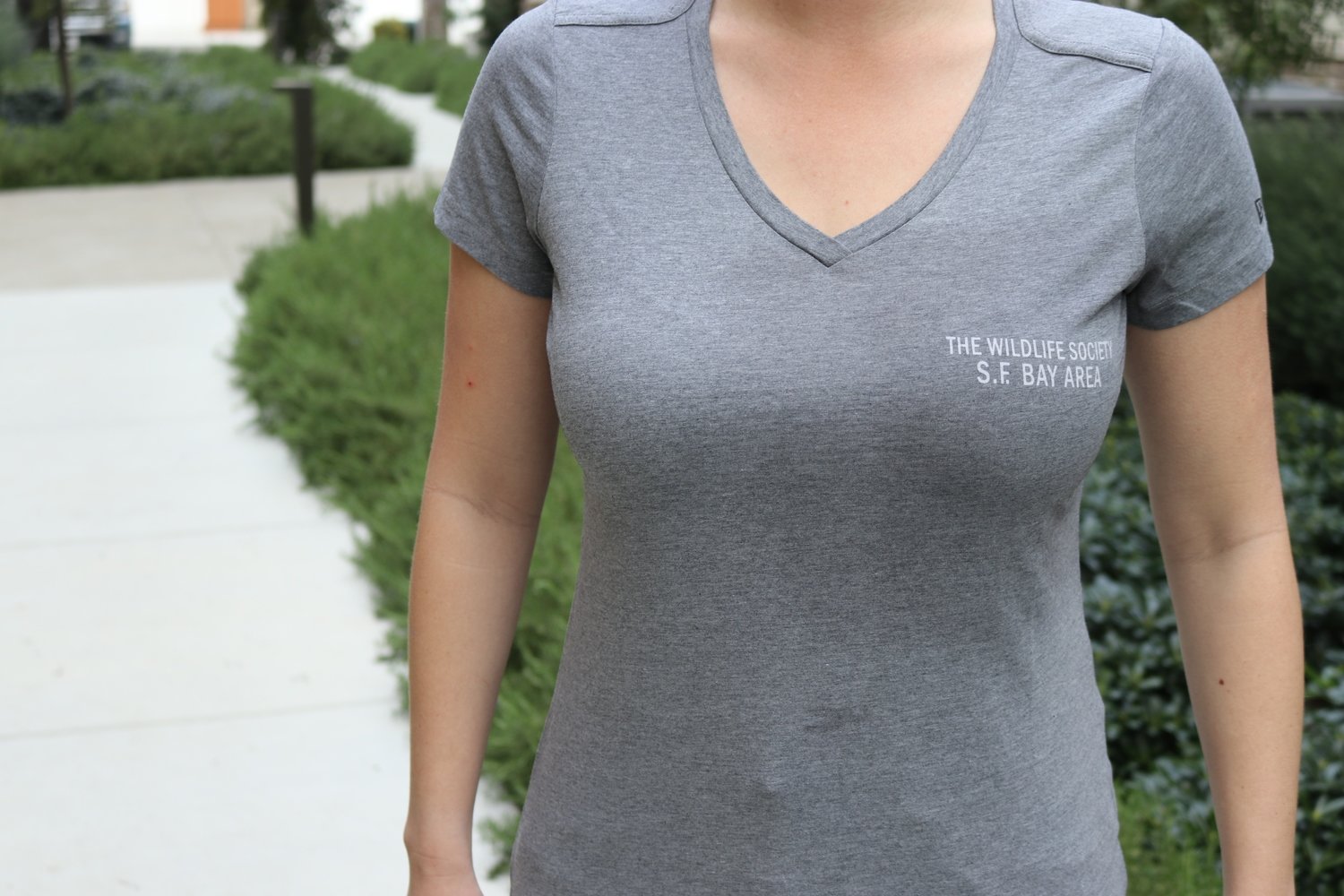 Women&#39;s V-Neck Gray T-Shirt