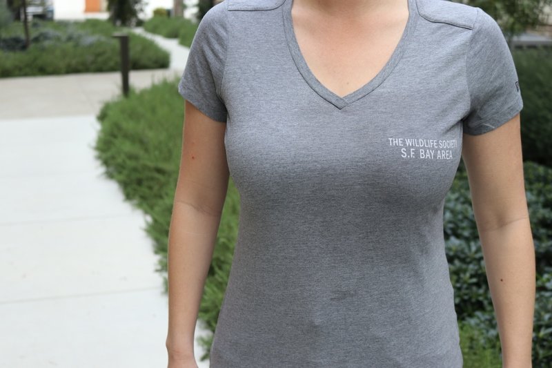 Women&#39;s V-Neck Gray T-Shirt