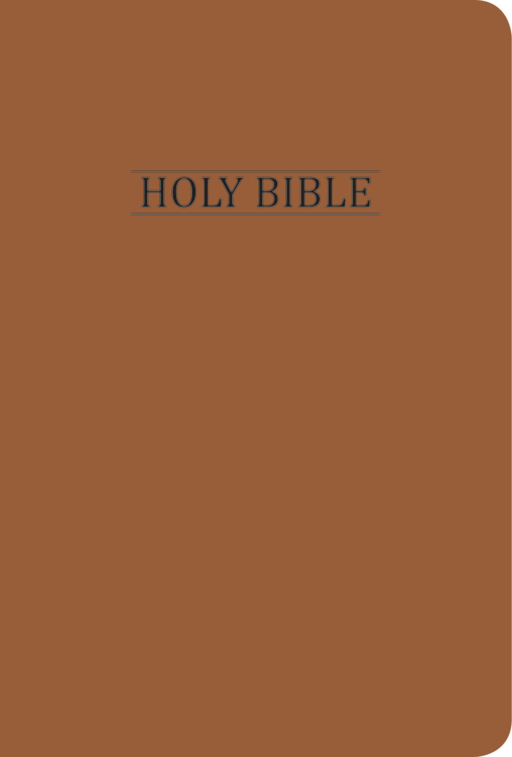 NIV LEATHER TOUCH TAN BIBLE