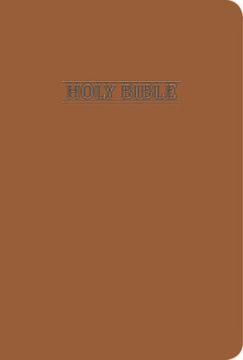 NIV LEATHER TOUCH TAN BIBLE