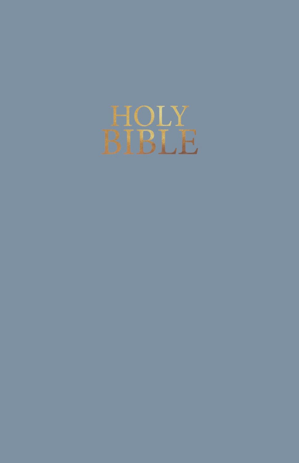 NIV COLUMN REFERENCE VINYL STEEL BLUE BIBLE
